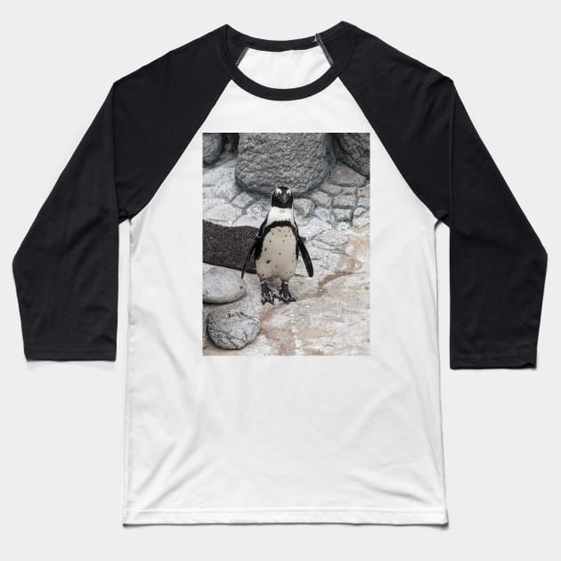 Penguin Baseball T-Shirt by searchlight